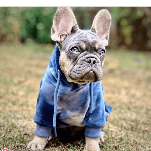 spark paws Other - NWT Adorable Tie Dye Hoodie for your fur baby